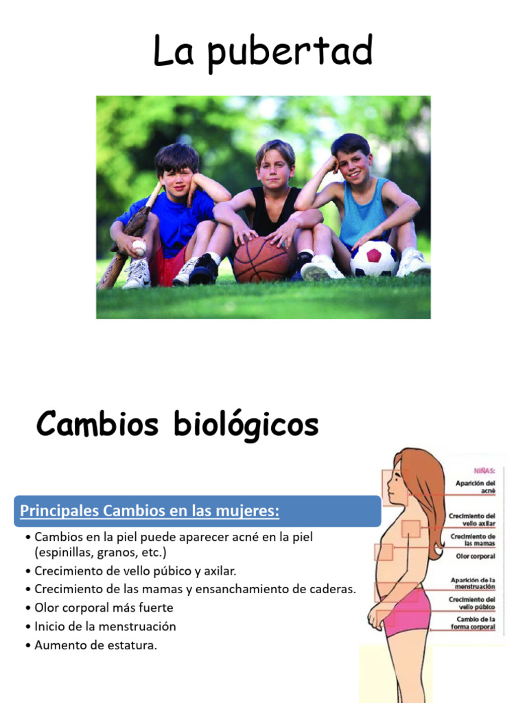 Cambios en la pubertad en niñas y niños | PDF | Salud y bienestar ...