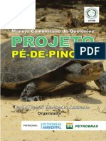 Livro PE DE PINCHA 2012