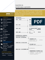 CV David Actualizado 2022 No Docu