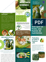 Green Business Brochure