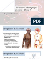 Regulação Metabolismo