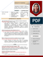 209 Curriculum Vitae Completo