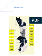 Microscópio Ótico Composto