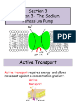 Lesson 3 The Sodium Potassium Pump