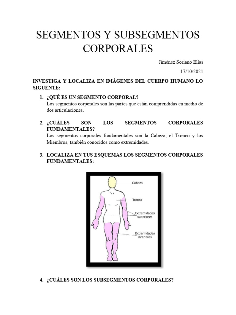Segmentos y Subsegmentos Corporales | PDF | Relaciones personales ...