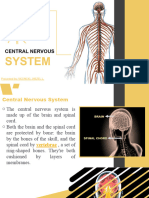 Central Nervous System