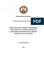 Tesis Doctoral - Iván Carreño Ruiz