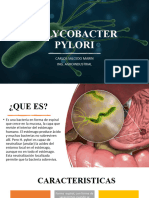 Expo Helycobacter Pylory