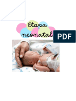 Etapa Neonatal