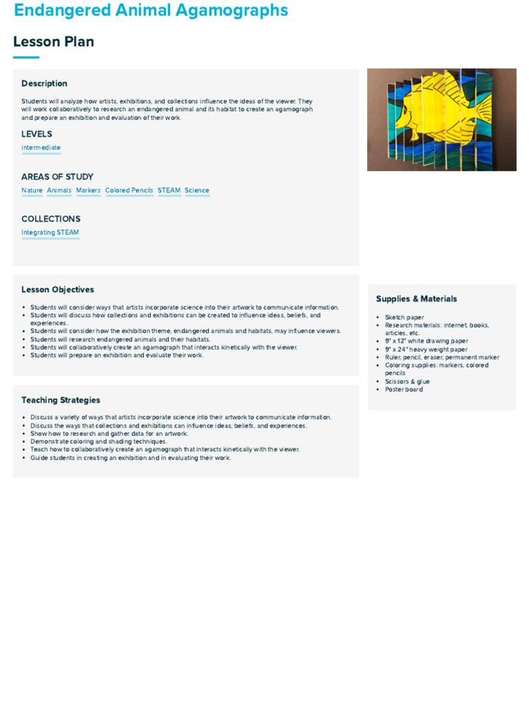 Endangered Animal Agamograph Project Pdf Drawing Cognition