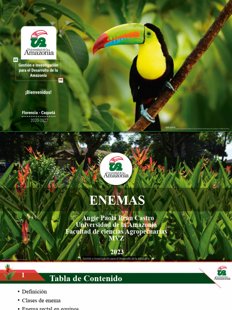 Tipos y usos de enemas en animales | PDF | Medicina | Medicina CLINICA