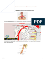 Sistema Cardiovascular 2da Parte - 063741