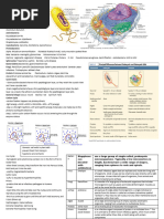 MM Cheat Sheet 2011