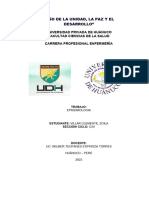 Año de La Unidad, La Paz Y El Desarrollo"