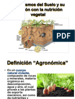 3.1 Organismos Del Suelo.