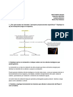 Taller Radiología Valentina Martínez