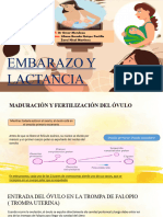 Fisiologia Embarazo y Lactancia