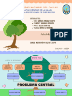 Nutrición - Sem 03 - Árbol de Problemas Anemia