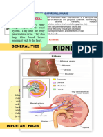 Steam Project-English 3rd Kidneys