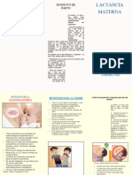 TRIPTICO DE LA LACTANCIA MATERNA(1)(1)