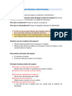 Guia Procesal Constitucional