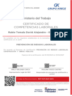 Certificado de Competencias Laborales: Rubio Tomala David Alejandro - 0503636029