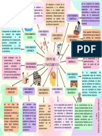 Tipos de Cocnocimiento