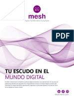 Brochure Ciberseguridad