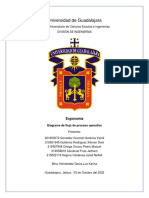 Diagrama de Flujo de Proceso - Ergonomía