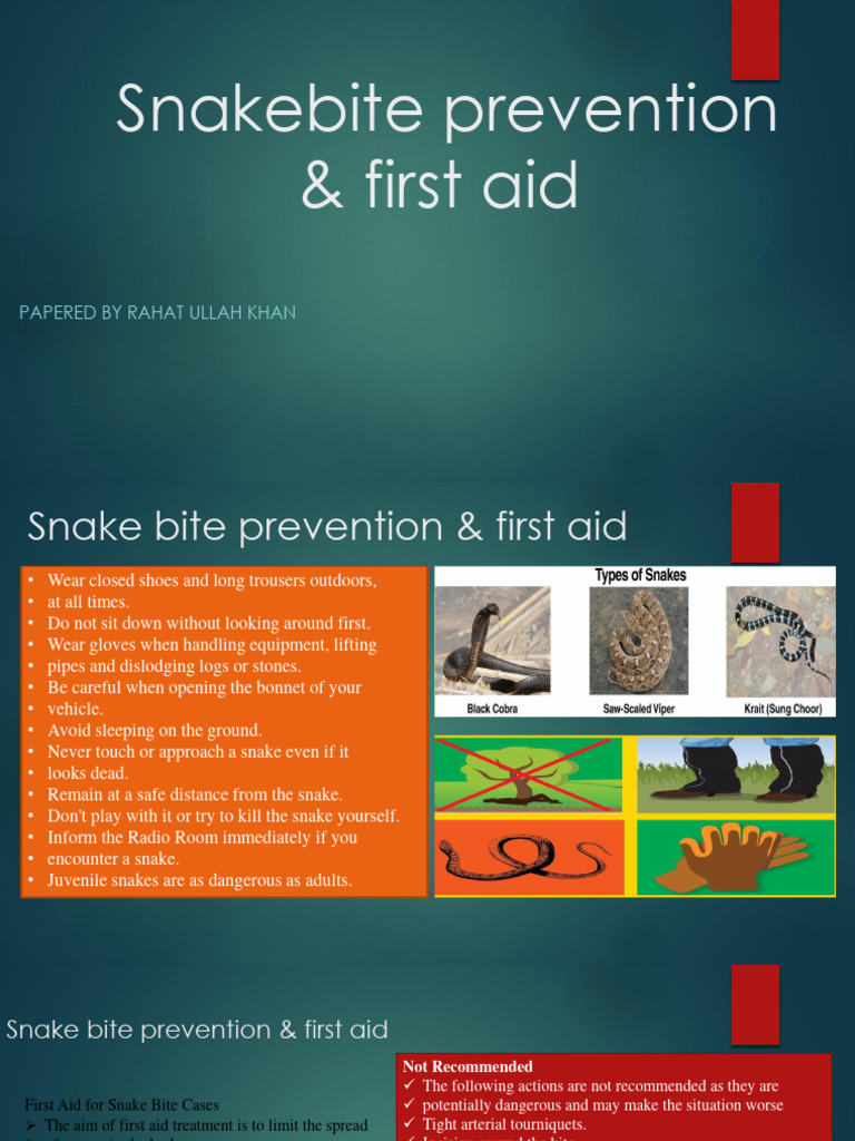 Snakebite Prevention & First Aid 1 PDF