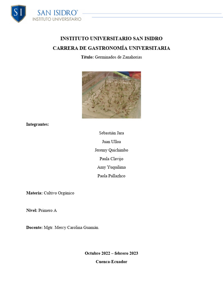 Crema Parmentier PDF Cocina occidental Cocinando