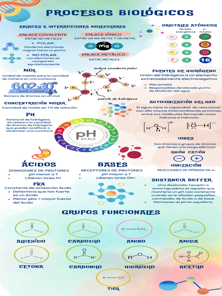 Procesos Biológicos y Estructuras Moleculares | PDF | Carbohidratos ...