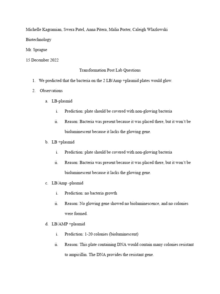 Swera Patel - Transformation Data Analysis | PDF | Transformation ...
