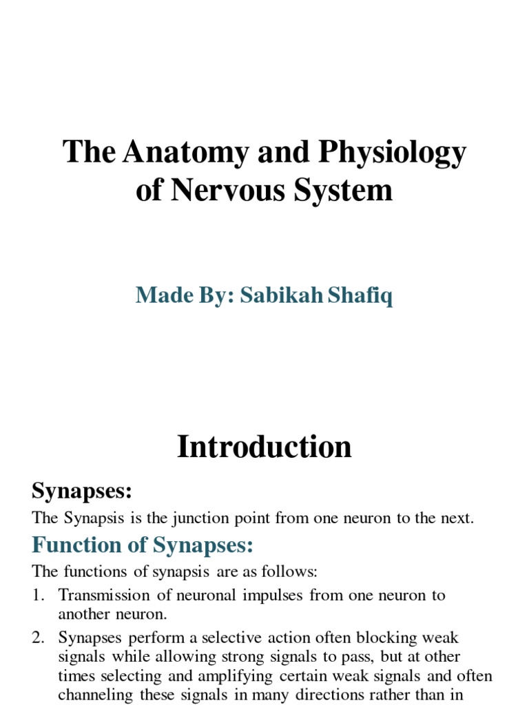 Central Nervous System Pdf Chemical Synapse Nervous System
