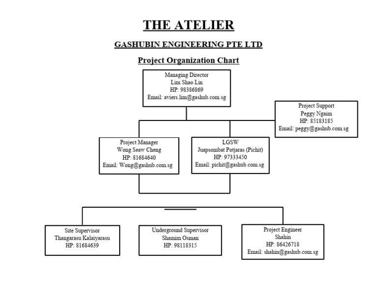 Project Organization Chart | PDF