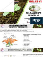 Ipa Tematik 6a-Perkembangan Generatif Dan Vegetatif