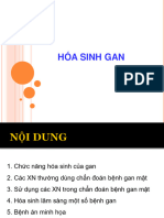 Hoa Sinh Gan-2023