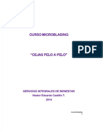 PDF Curso Microblading 2017pdf Compress