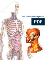 Humane Science Human Musculoskeletal Grade 12 Lesson Plan