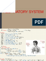 Respiratory System