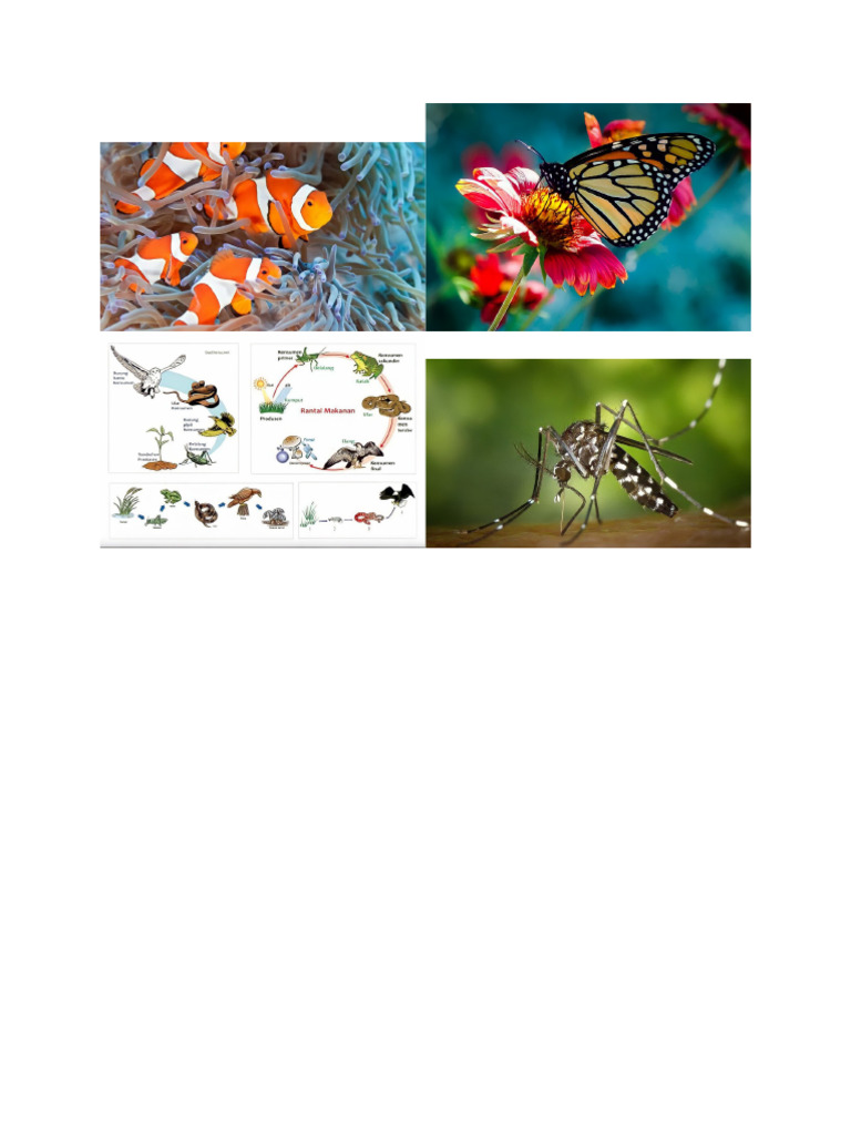 Gambar Sains | PDF