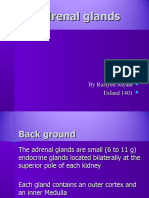 adrenal presentation - صیادی