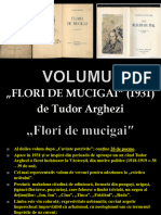Volumul Flori de Mucigai de Tudor Argezi Prezentare