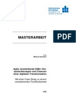 Master Thesis KMU 91000