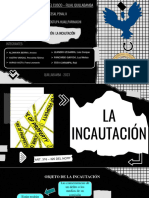 La Incautacion - Grupo 03