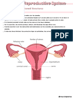 Female and Male Reproductive