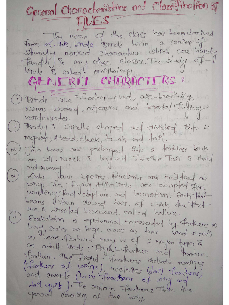 General Characteristics And Classification Of Aves Pdf