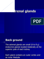 Adrenal