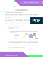 Ácidos Nucleicos TEMA 4