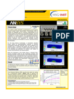 Tiago Soares Ansys